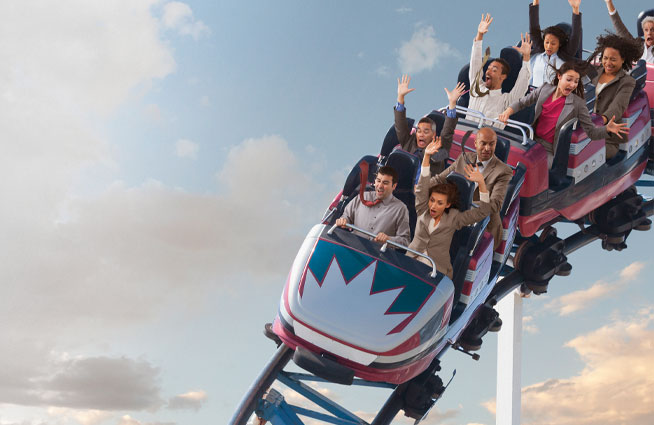 Surviving the M&A Rollercoaster